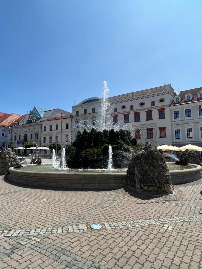Apartman Viki Bańska Bystrzyca Zewnętrze zdjęcie